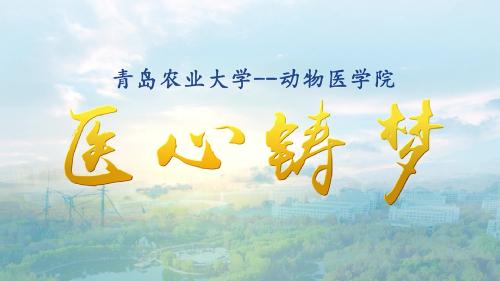 70net永乐高宣传片