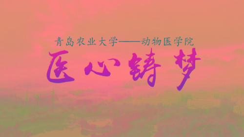 医心铸梦--2018年70net永乐高教学科研宣传片